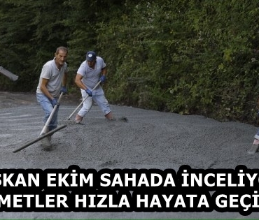 498f30c5-8db3-433f-b882-655143043220