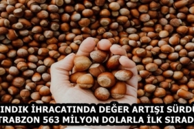 bir_avuc_findik_kac_kalori635y