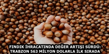 bir_avuc_findik_kac_kalori635y