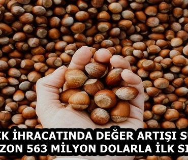bir_avuc_findik_kac_kalori635y
