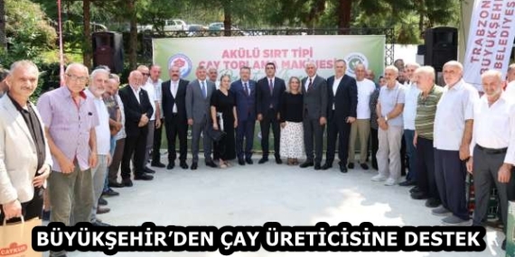 fb2212c9-c41a-4074-8ee2-1fdaae5716c3