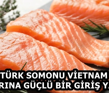 turk-somonu-ihracati-