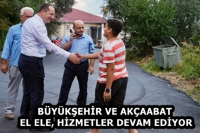 43d8ecf2-53f3-4db8-b066-0fefcd6cd282