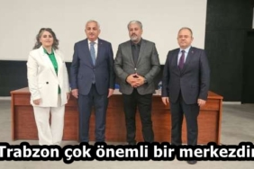 72cc00b3-9d53-46c3-bf04-991c1ddef567