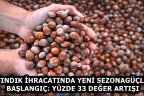 findik